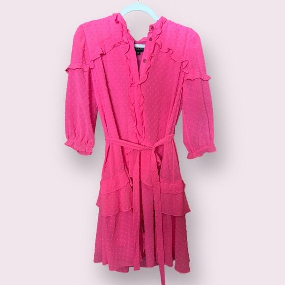 Saloni Tilly Pink Ruffle Mini Dress - Picture 3 of 6